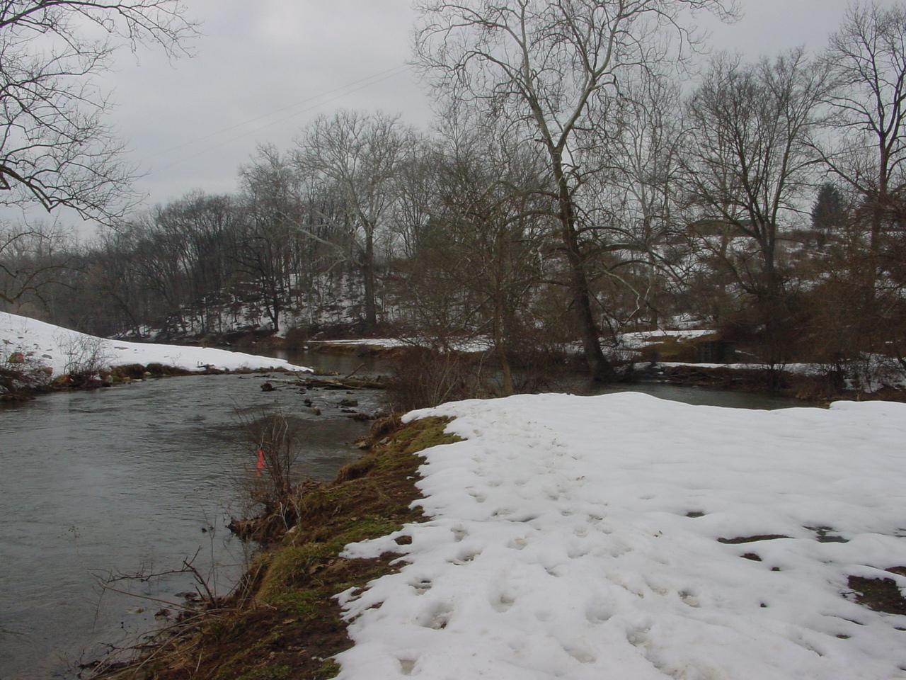 Field photo showing stream conditions at site ANTI-310-R-2003-1