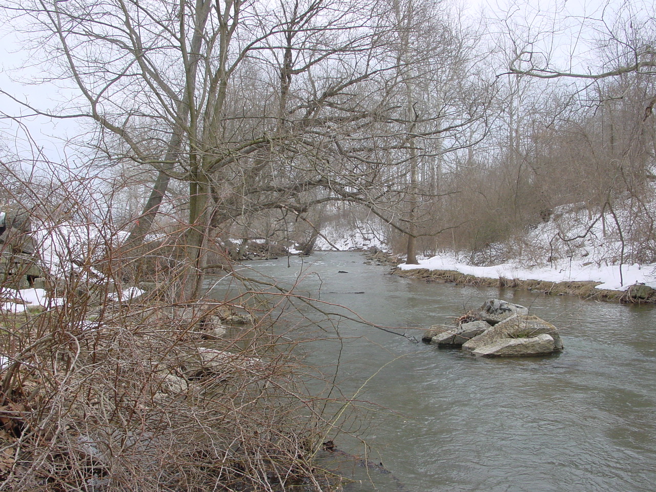 Field photo showing stream conditions at site ANTI-310-R-2003-2