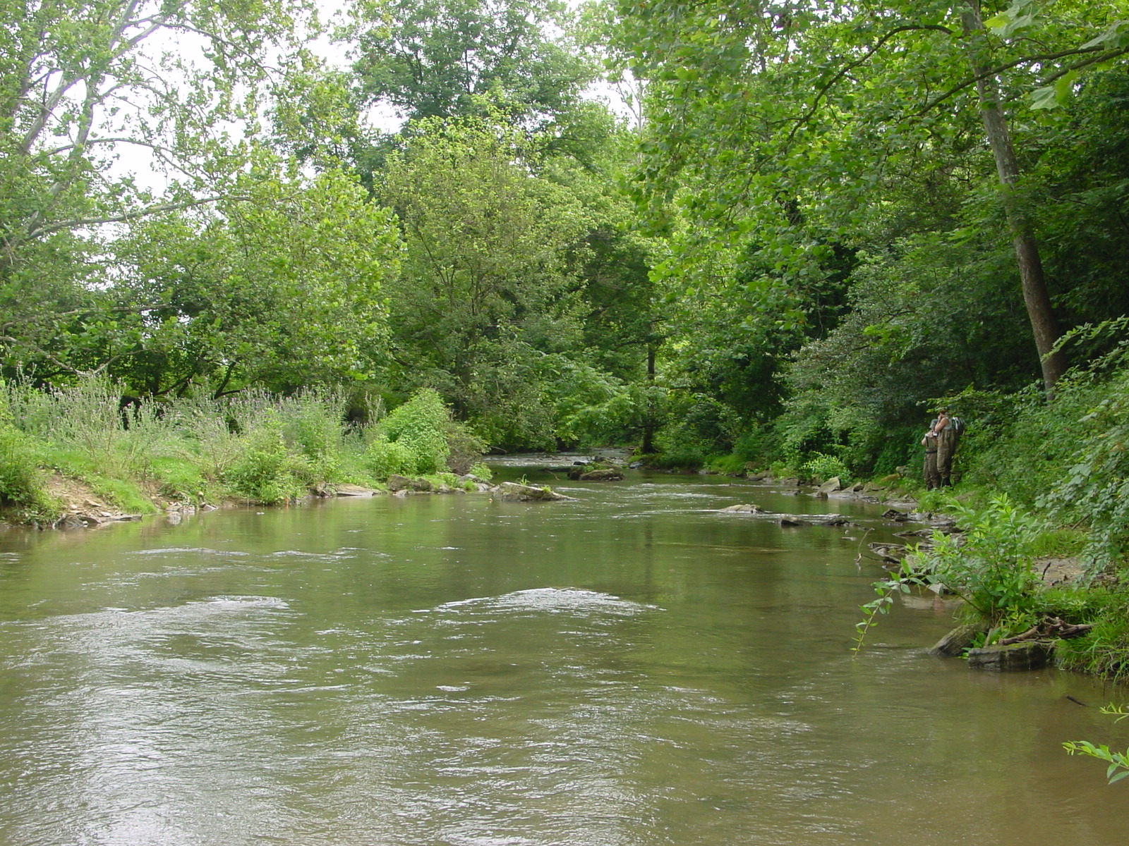 Field photo showing stream conditions at site ANTI-310-R-2003-3