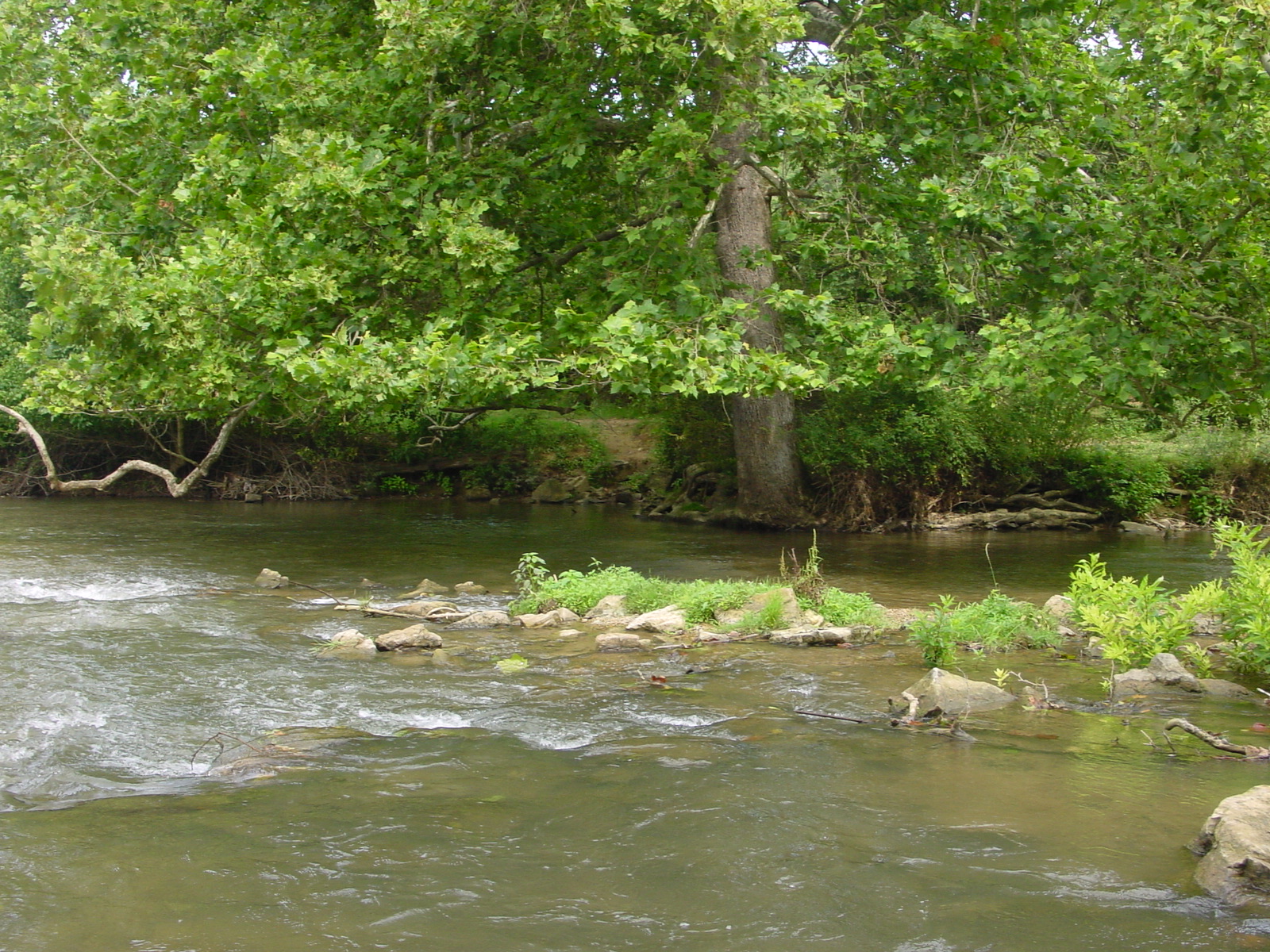 Field photo showing stream conditions at site ANTI-310-R-2003-4