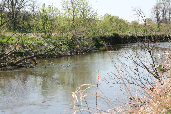 Field photo showing stream conditions at site ANTI-406-R-2009-1