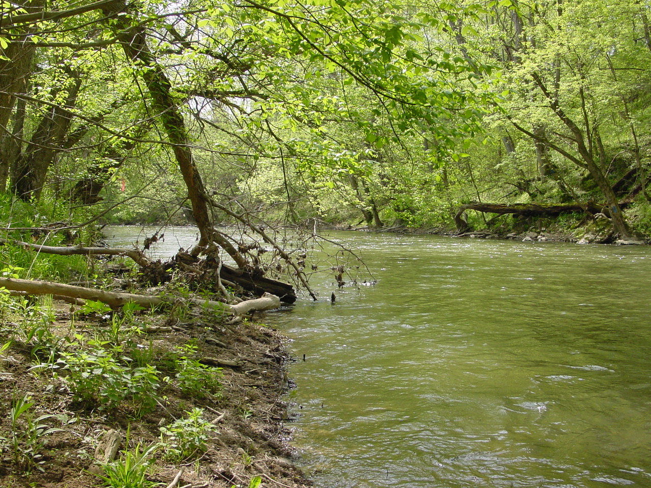 Field photo showing stream conditions at site ANTI-414-R-2003-1
