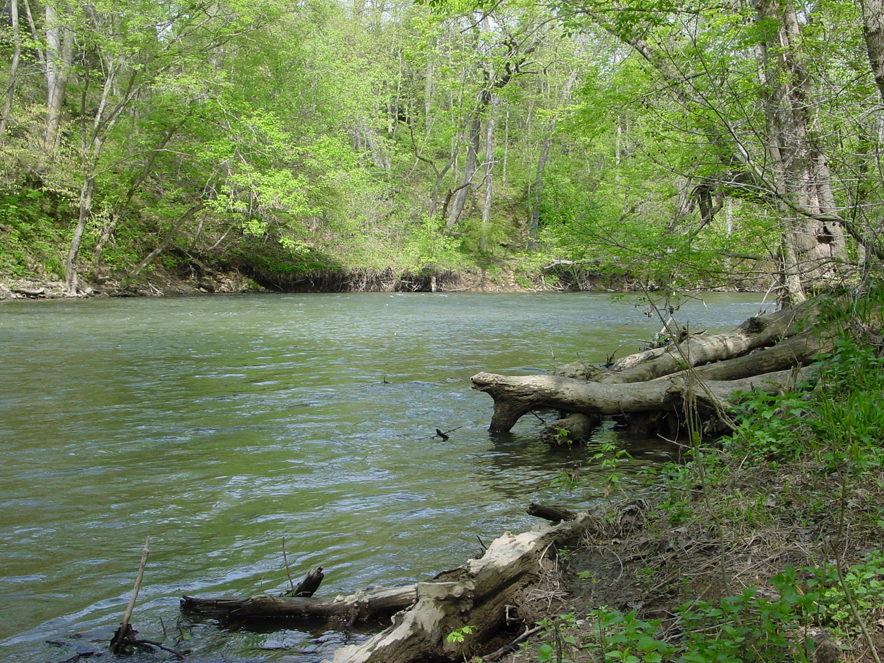 Field photo showing stream conditions at site ANTI-414-R-2003-2