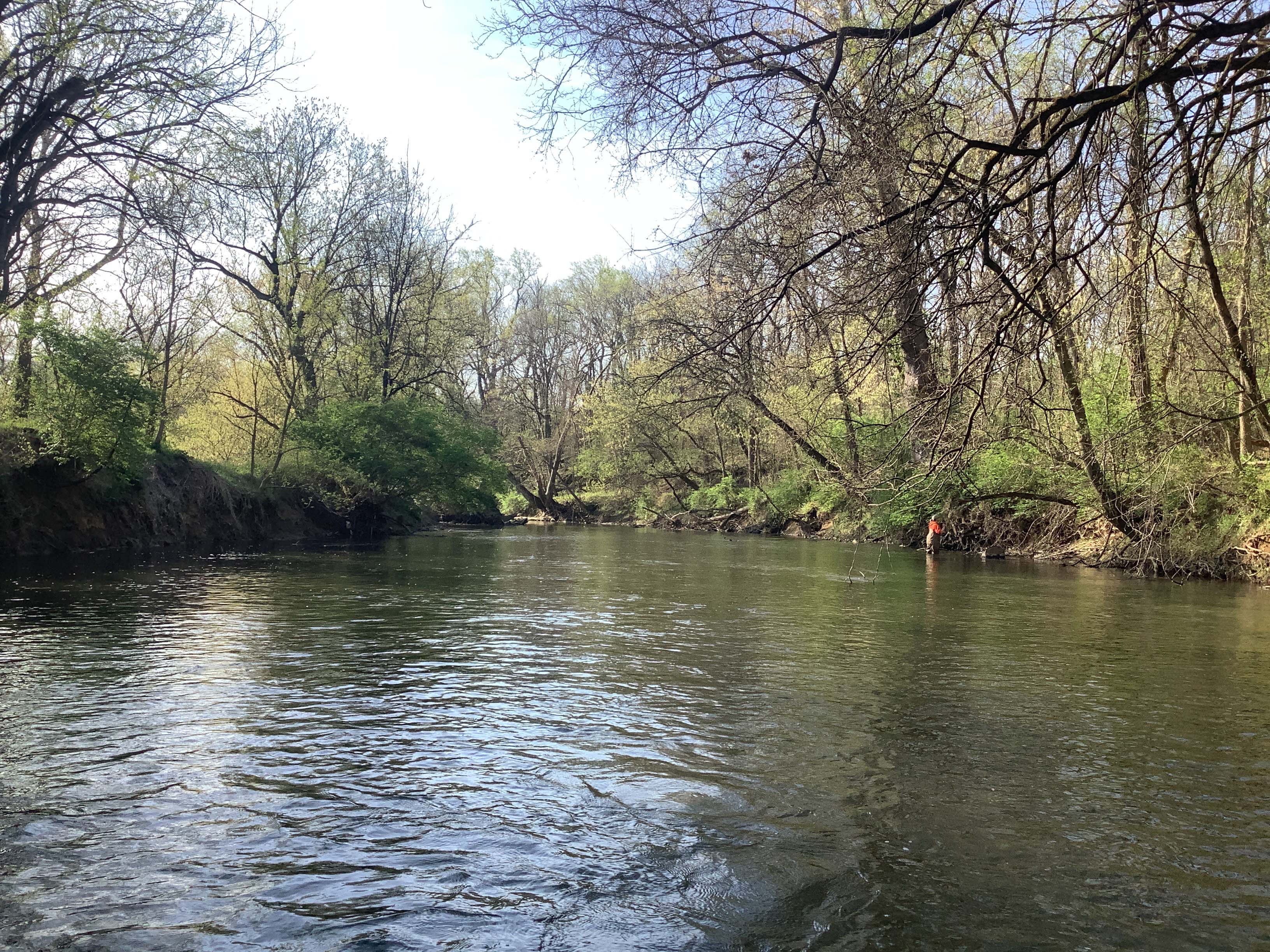 Field photo showing stream conditions at site ANTI-520-R-2023_Midpoint_facing_downstream
