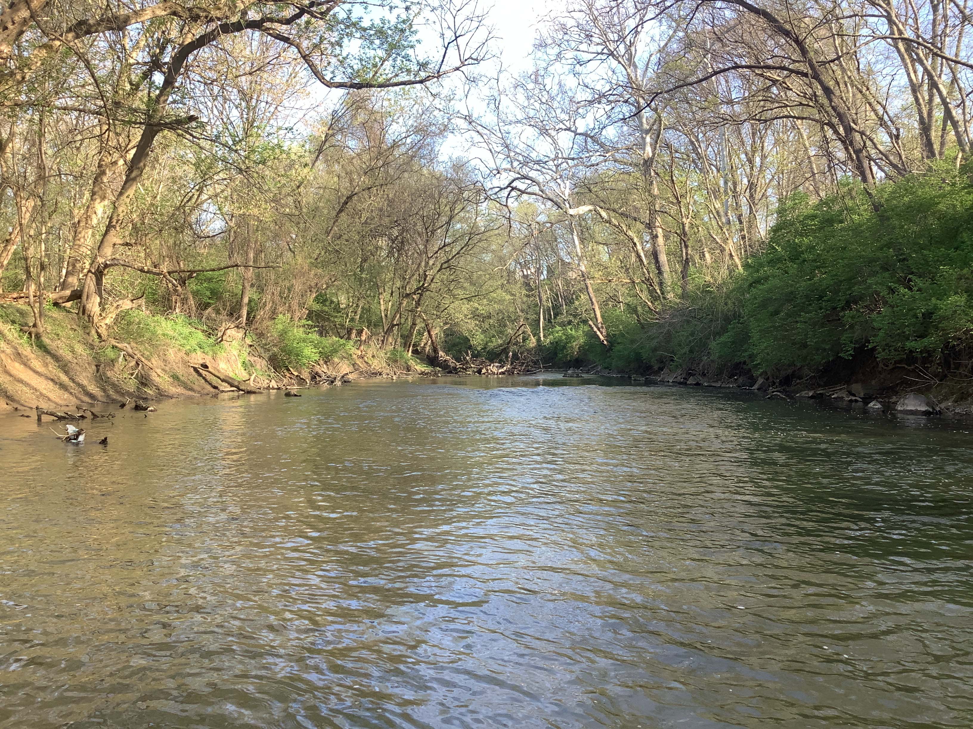 Field photo showing stream conditions at site ANTI-520-R-2023_Midpoint_facing_upstream