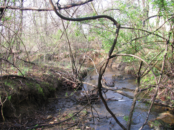 Field photo showing stream conditions at site ATKI-003-X-2009-1