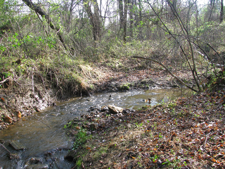 Field photo showing stream conditions at site ATKI-003-X-2009-2