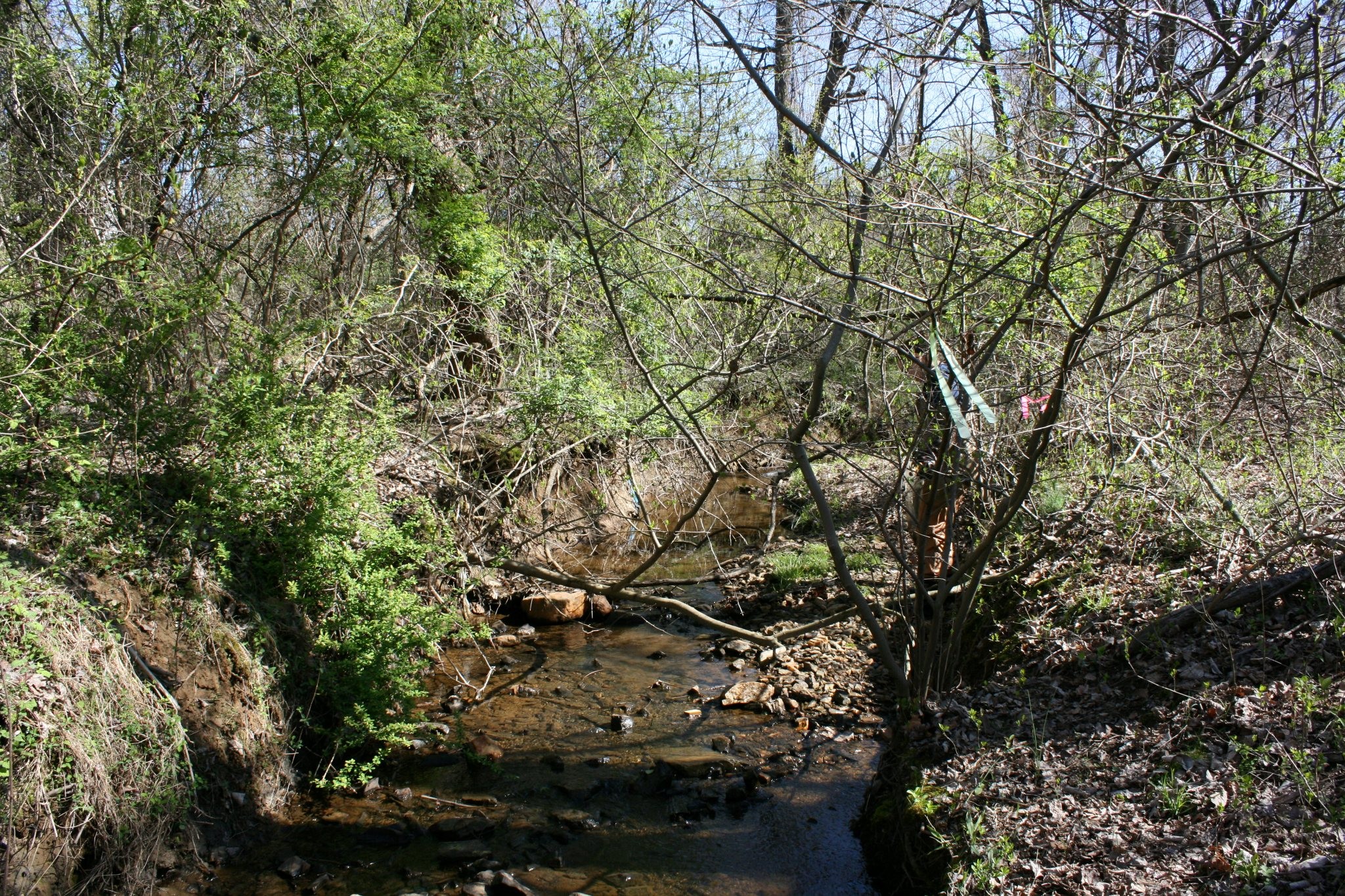 Field photo showing stream conditions at site ATKI-003-X-2012_Upstream