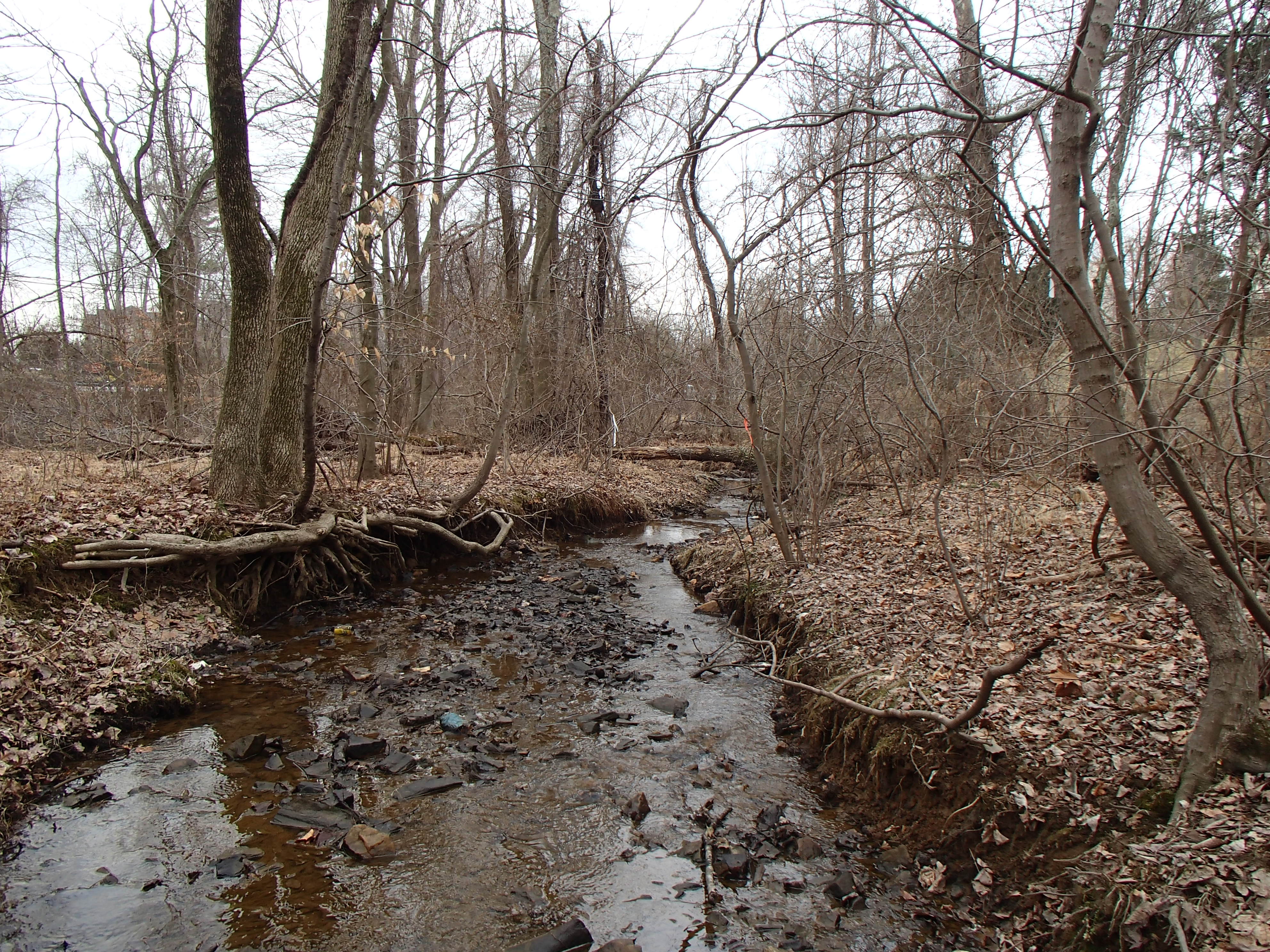 Field photo showing stream conditions at site ATKI-003-X-2014-2