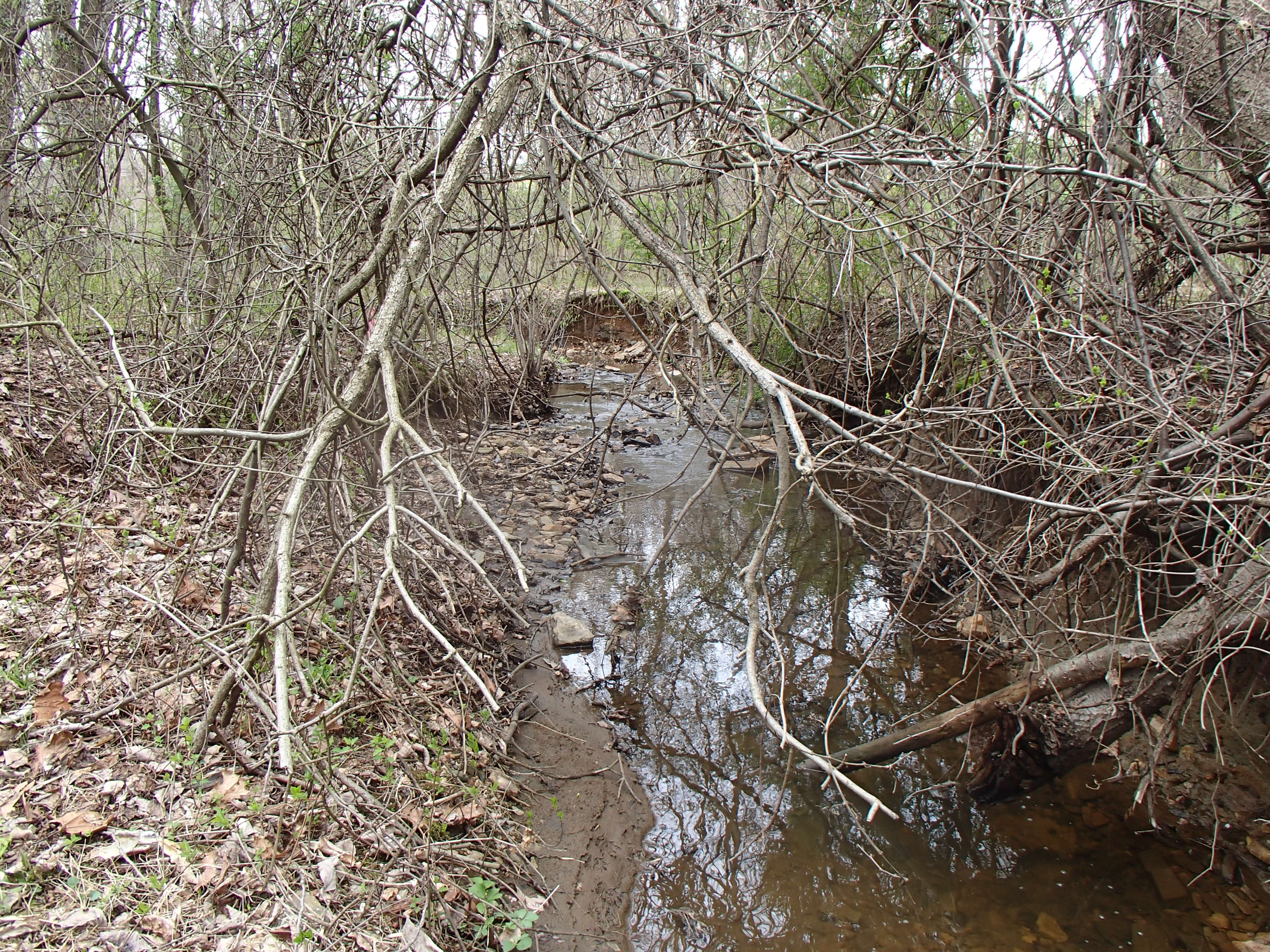 Field photo showing stream conditions at site ATKI-003-X-2015_Midpoint-looking-downstream