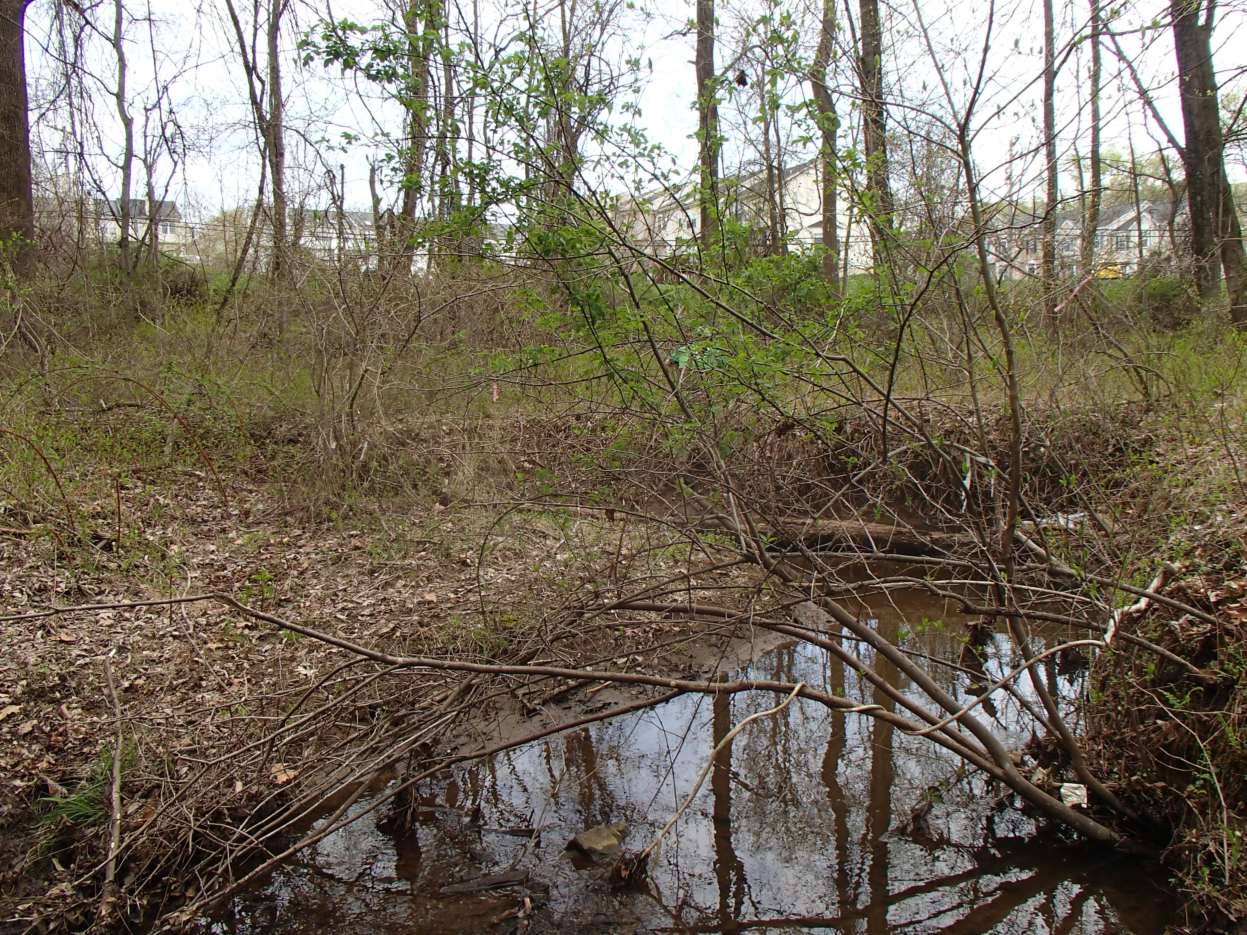 Field photo showing stream conditions at site ATKI-003-X-2015_Midpoint-looking-upstream