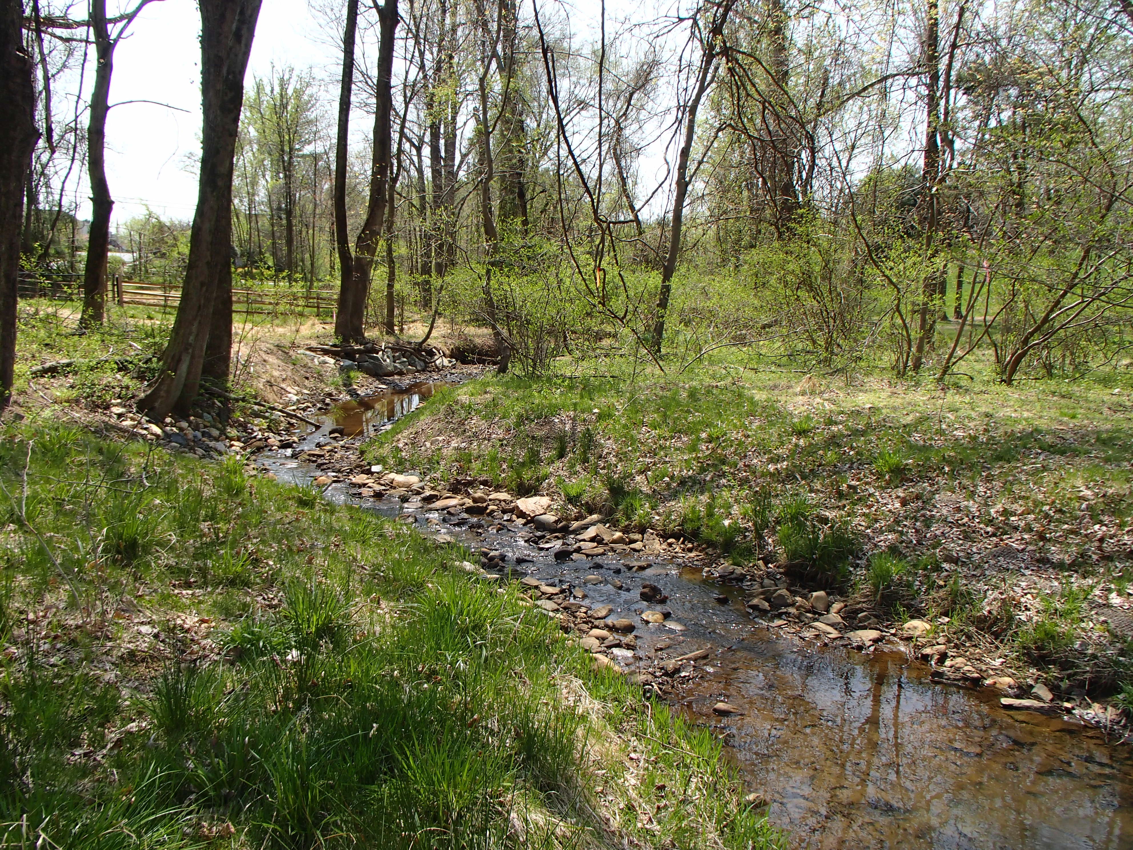 Field photo showing stream conditions at site ATKI-003-X-2017-MidpointFacingDownstream