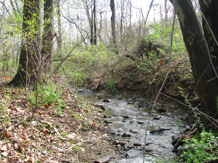 Field photo showing stream conditions at site ATKI-004-X-2009-2