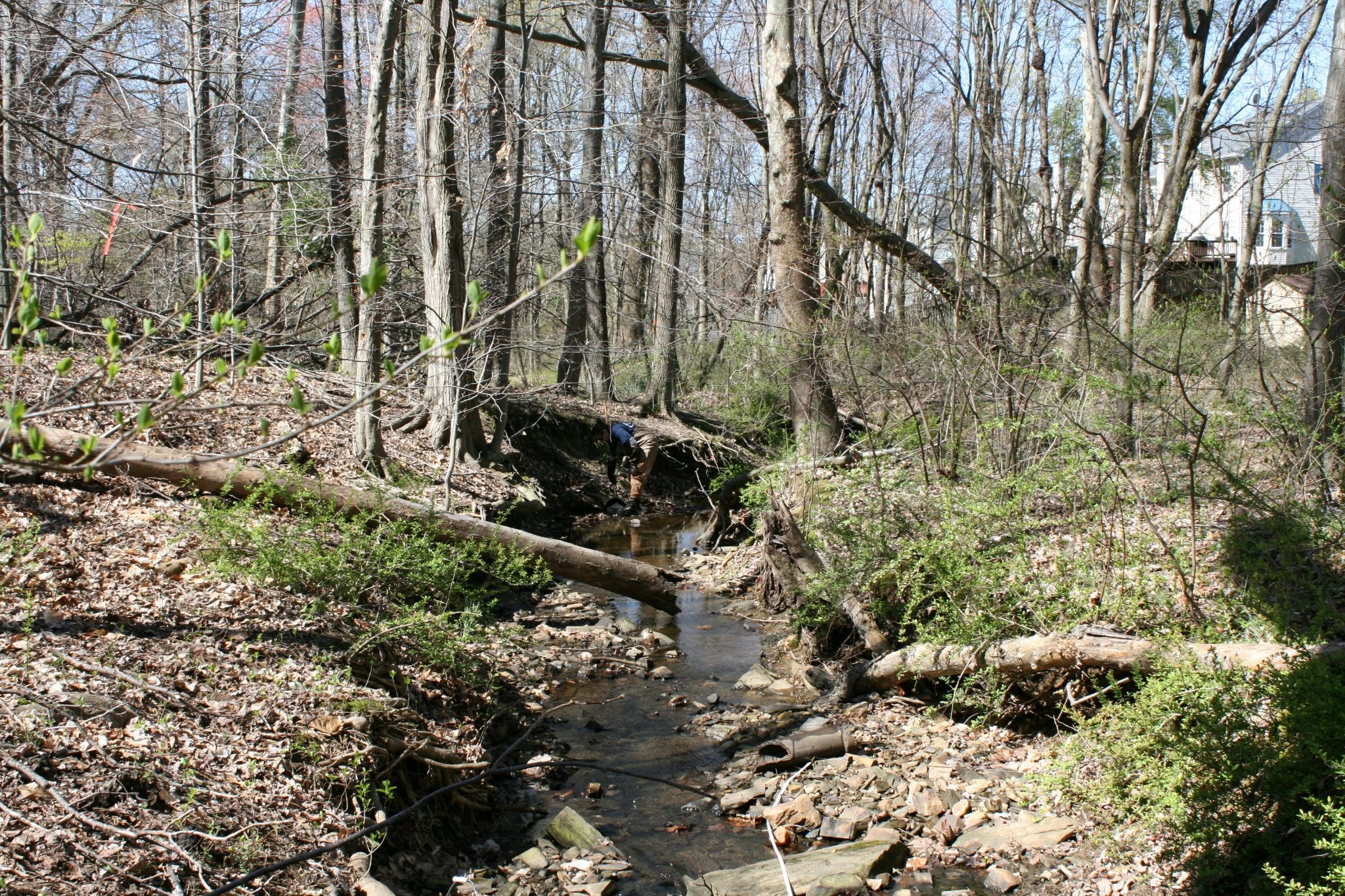 Field photo showing stream conditions at site ATKI-004-X-2012_Mid-pointDownstream
