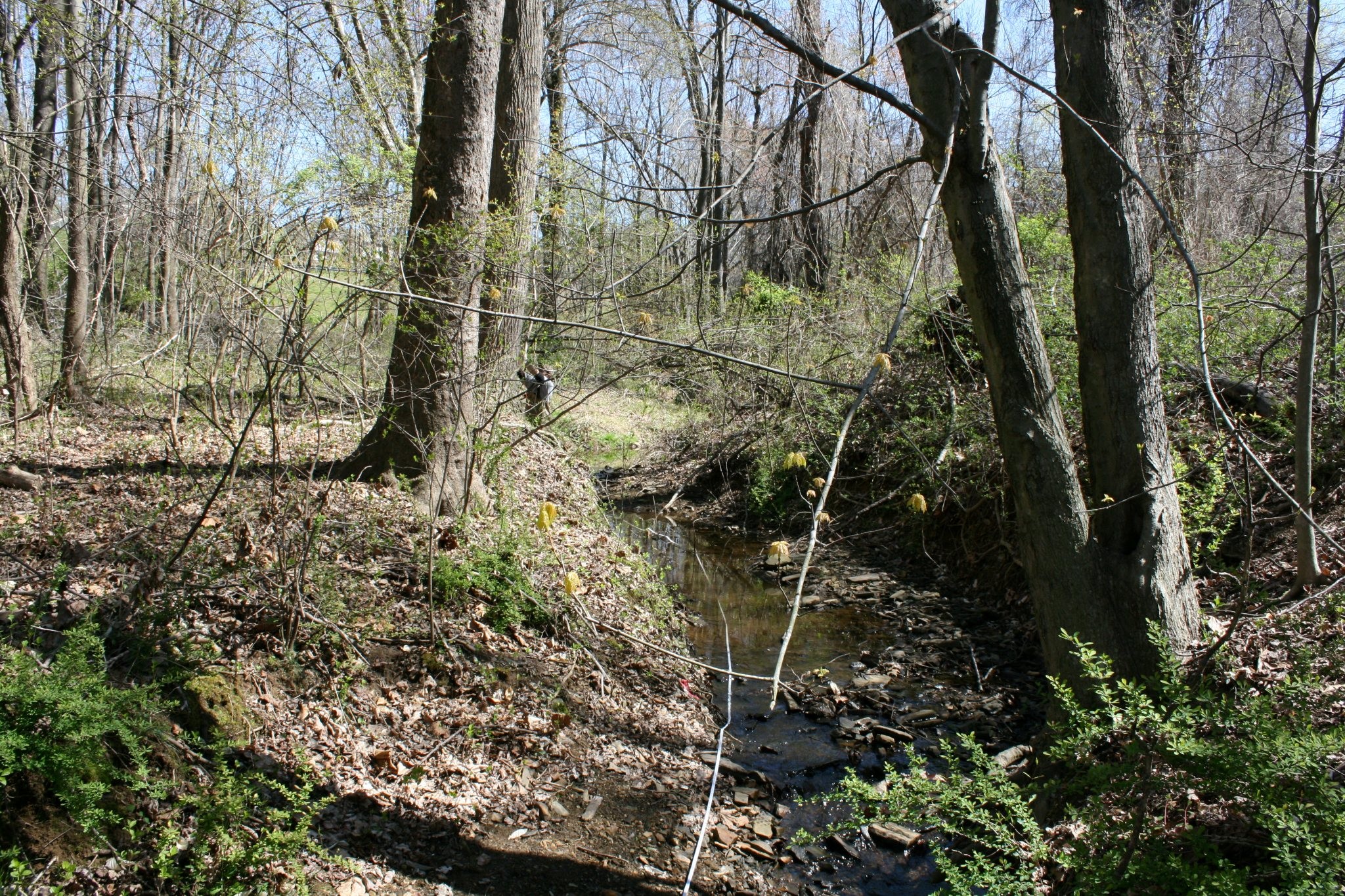 Field photo showing stream conditions at site ATKI-004-X-2012_Mid-pointUpstream