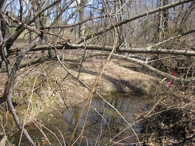 Field photo showing stream conditions at site ATKI-004-X-2013-1