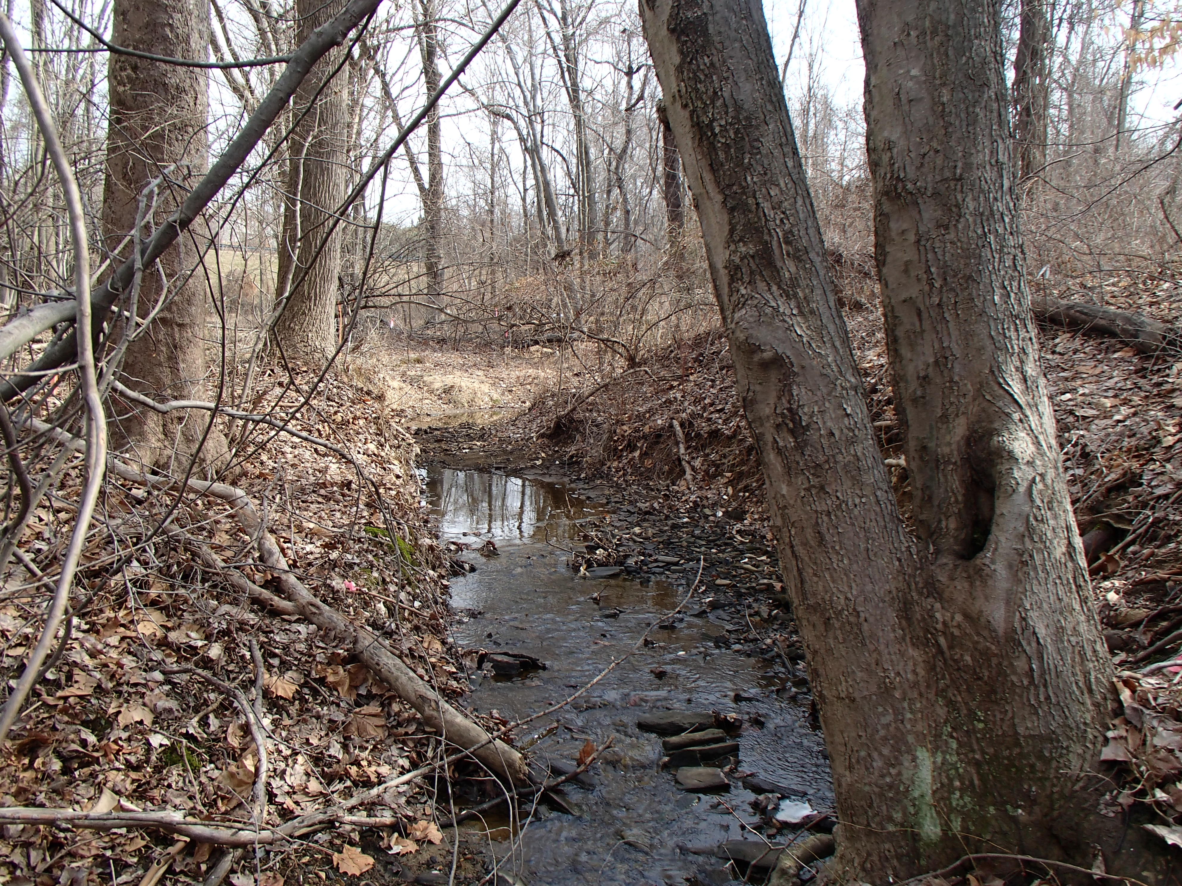 Field photo showing stream conditions at site ATKI-004-X-2014-1