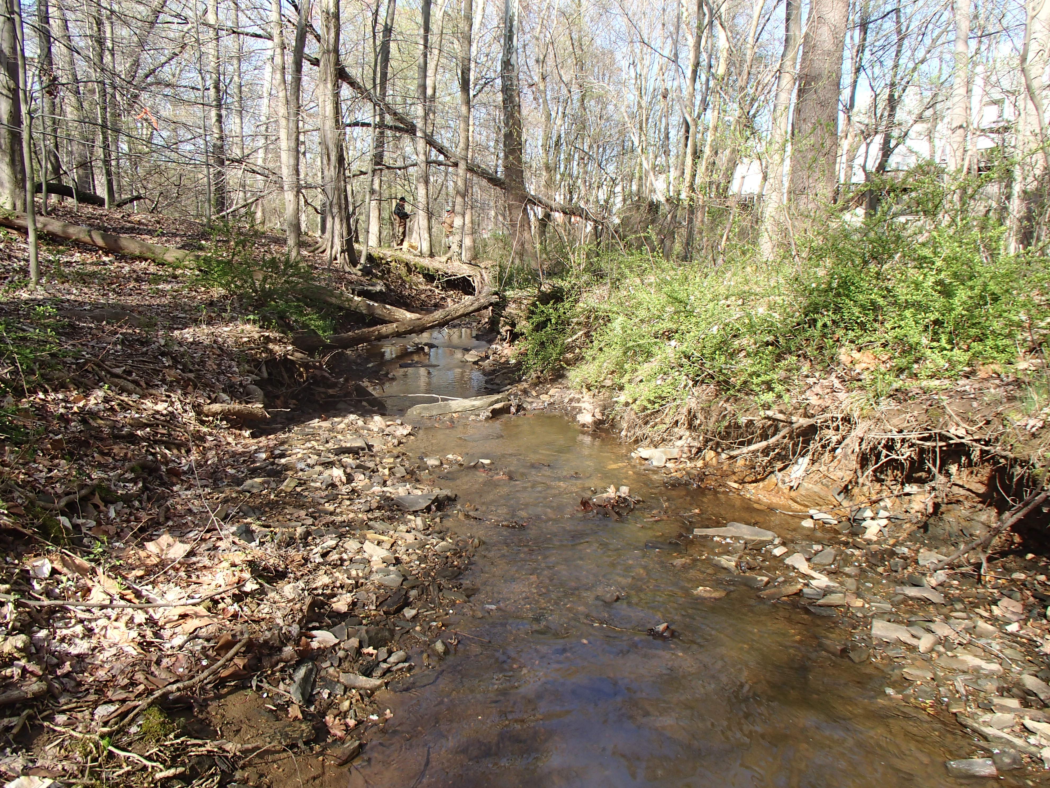 Field photo showing stream conditions at site ATKI-004-X-2015_Midpoint-downstream
