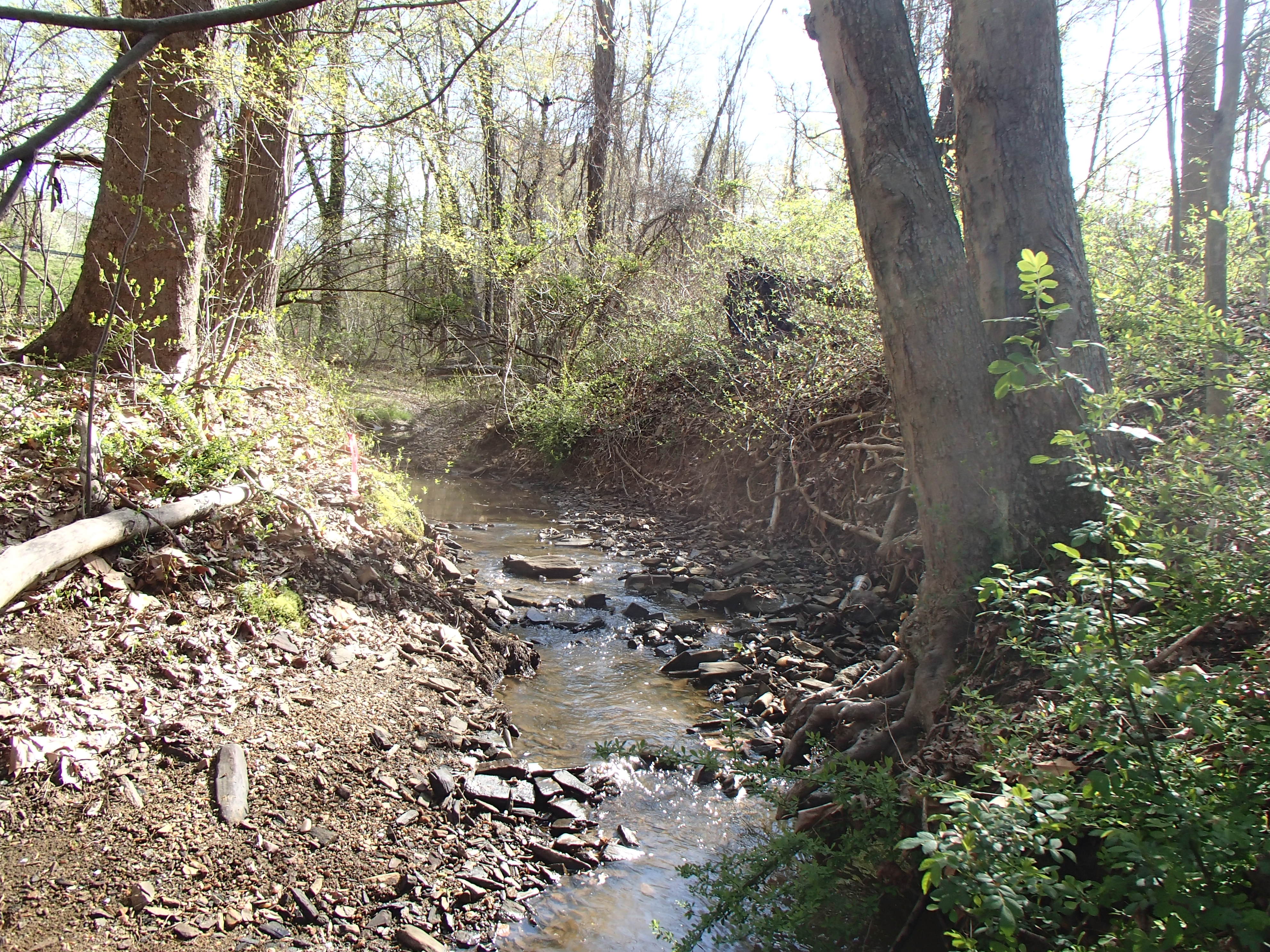 Field photo showing stream conditions at site ATKI-004-X-2015_Midpoint-upstream
