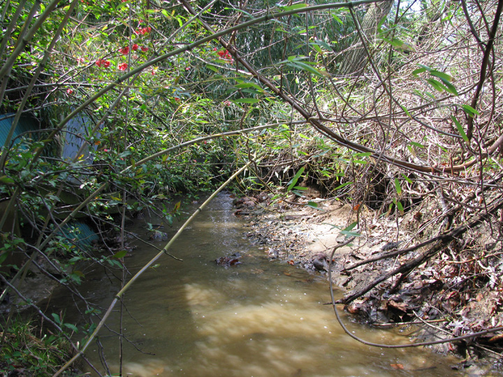 Field photo showing stream conditions at site ATKI-006-X-2009-1