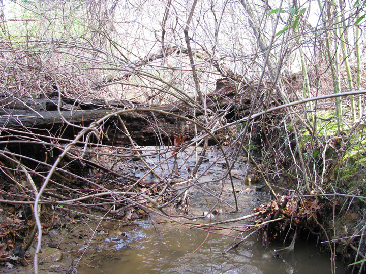 Field photo showing stream conditions at site ATKI-006-X-2009-2