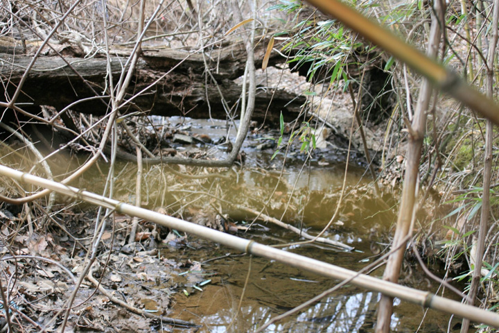 Field photo showing stream conditions at site ATKI-006-X-2011-1