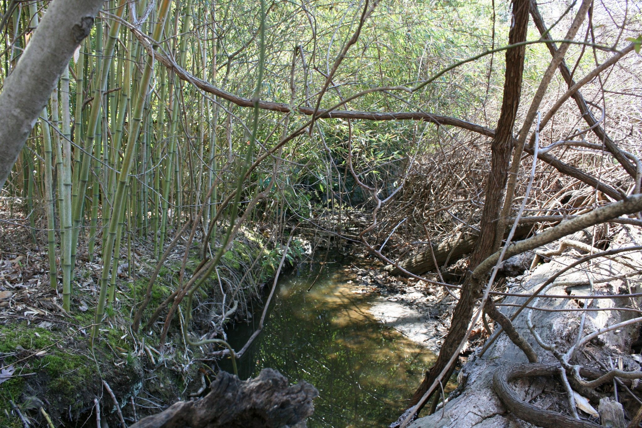 Field photo showing stream conditions at site ATKI-006-X-2012_Mid-point_Downstream