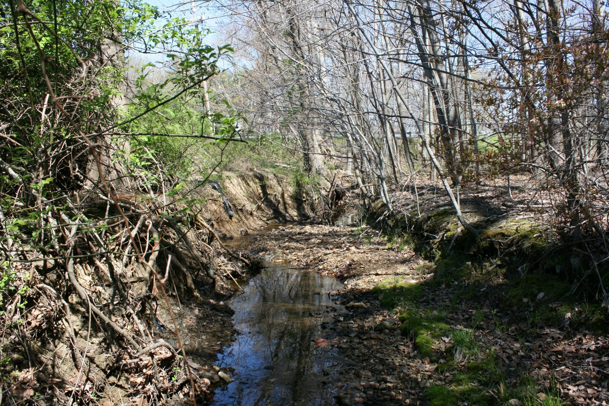 Field photo showing stream conditions at site ATKI-006-X-2012_Mid-point_Upstream
