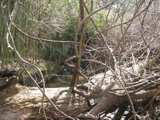 Field photo showing stream conditions at site ATKI-006-X-2013-2