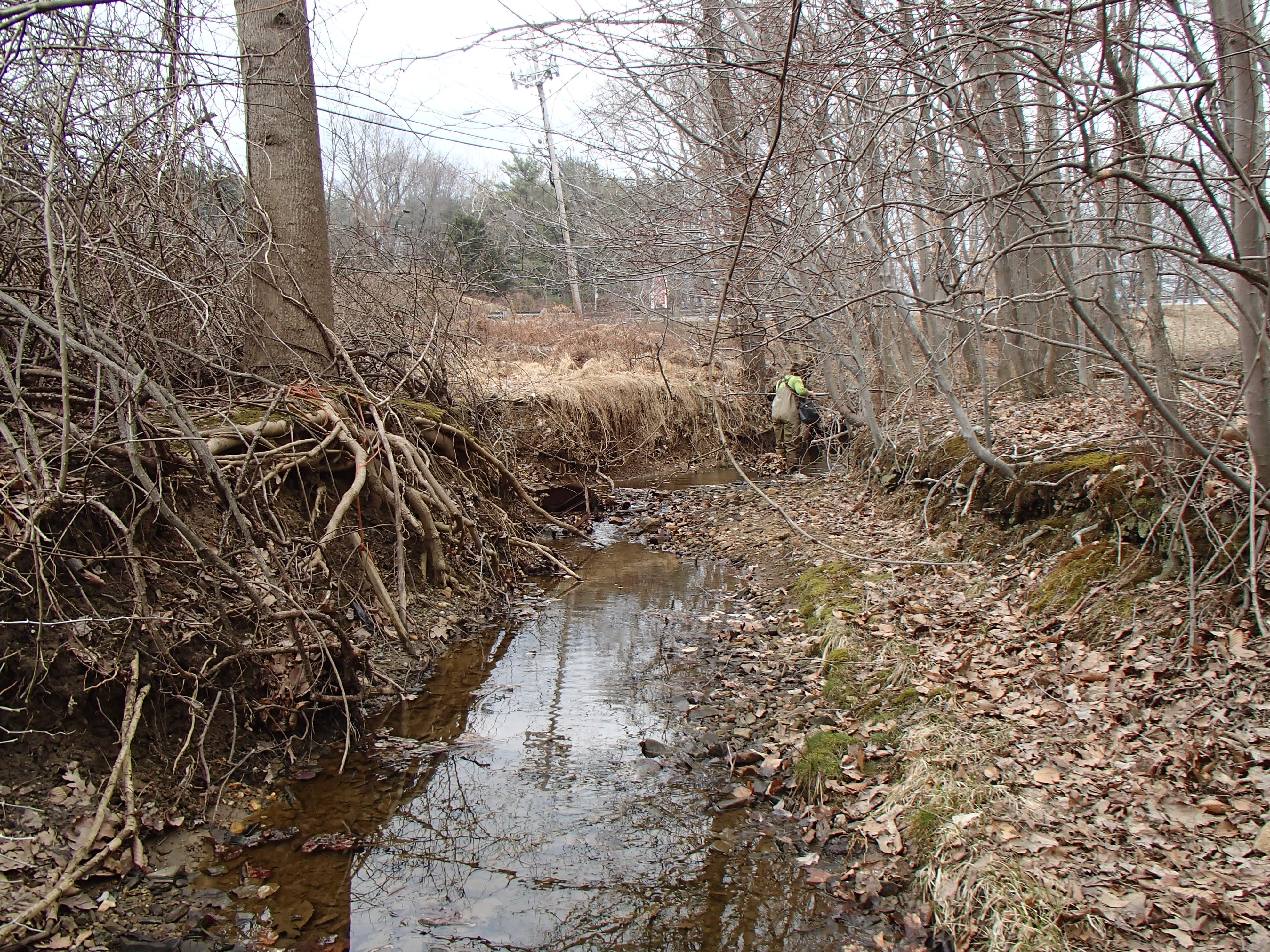 Field photo showing stream conditions at site ATKI-006-X-2014-1