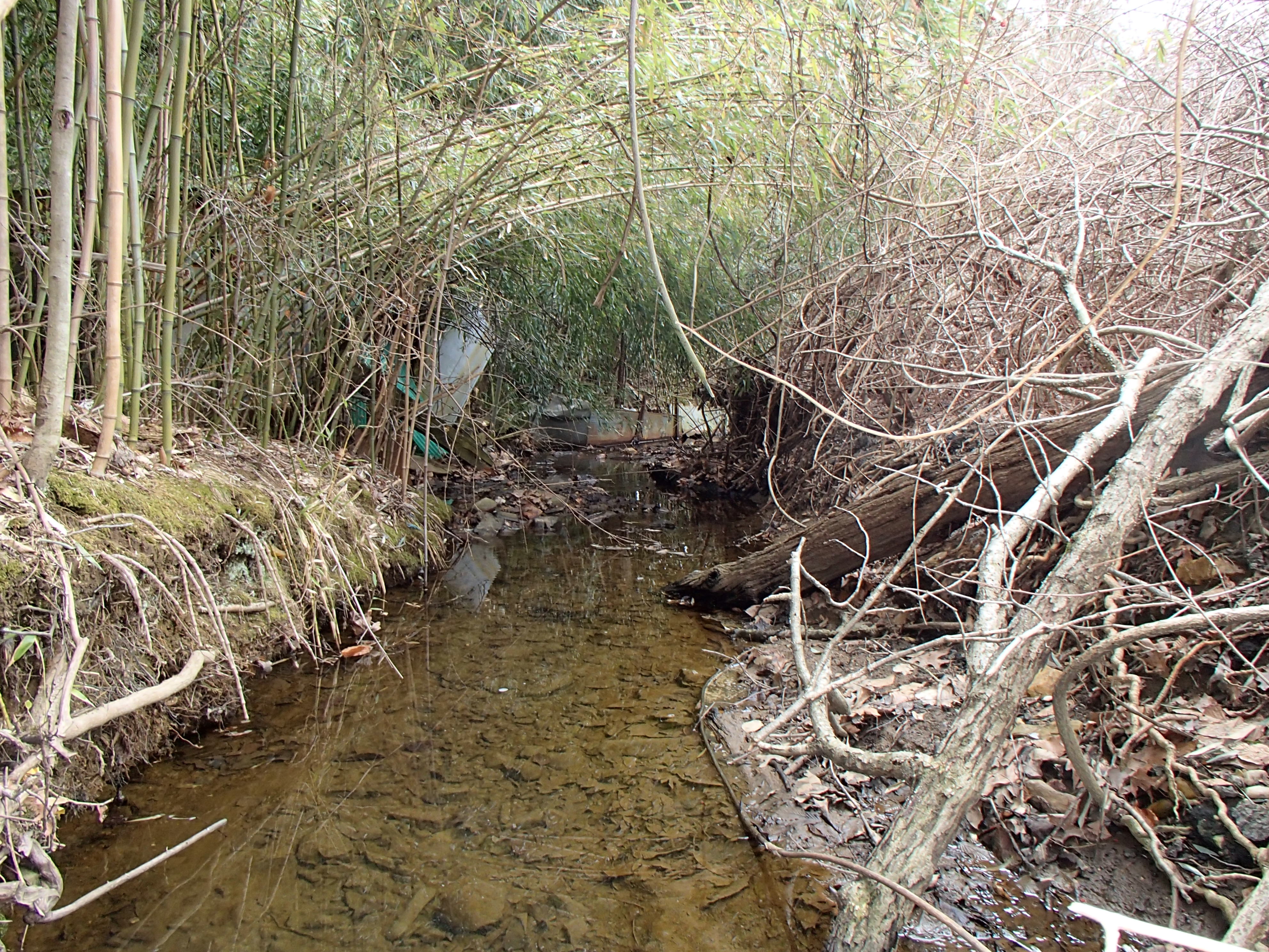 Field photo showing stream conditions at site ATKI-006-X-2014-2