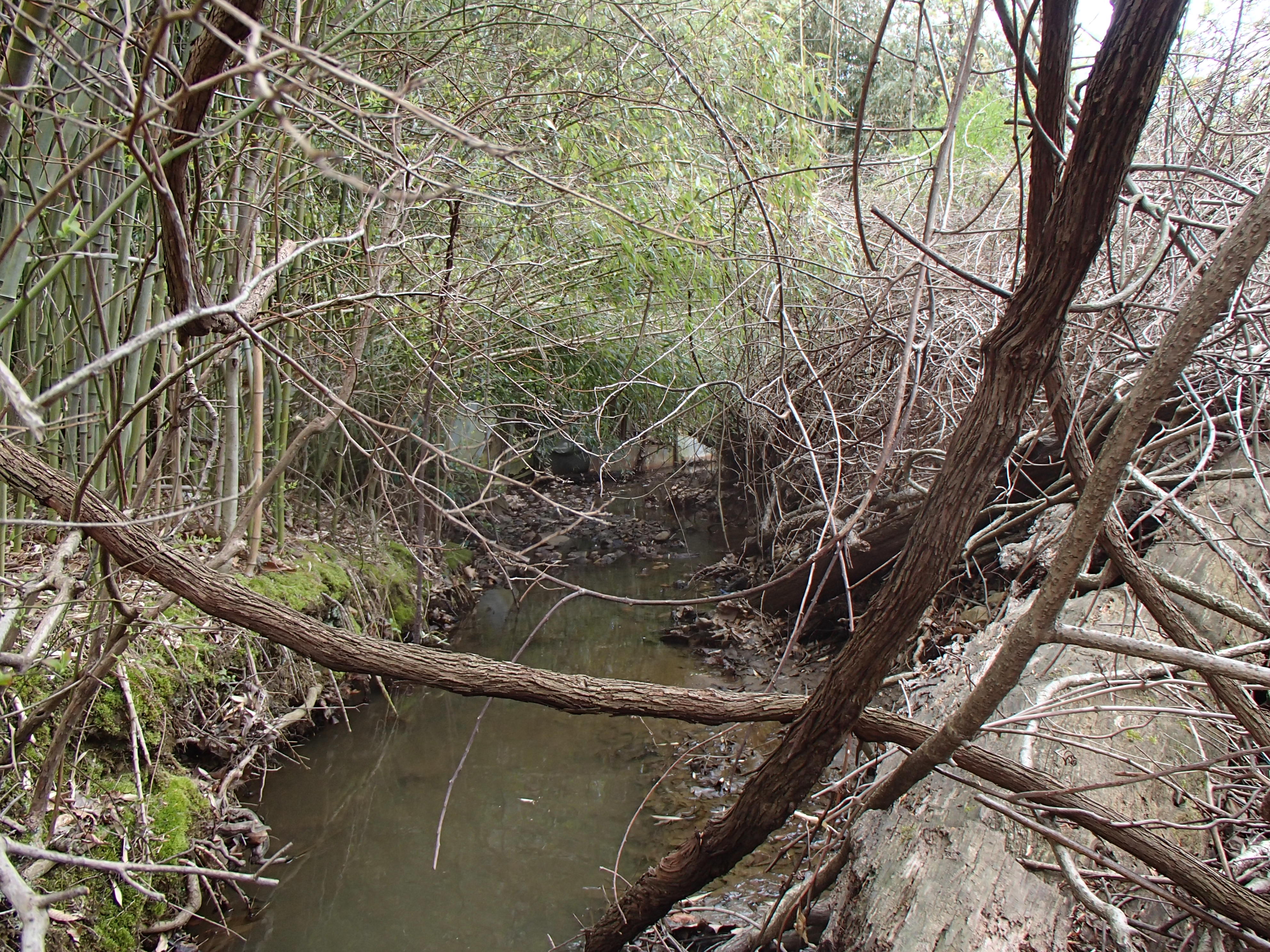 Field photo showing stream conditions at site ATKI-006-X-2015_Midpoint-downstream