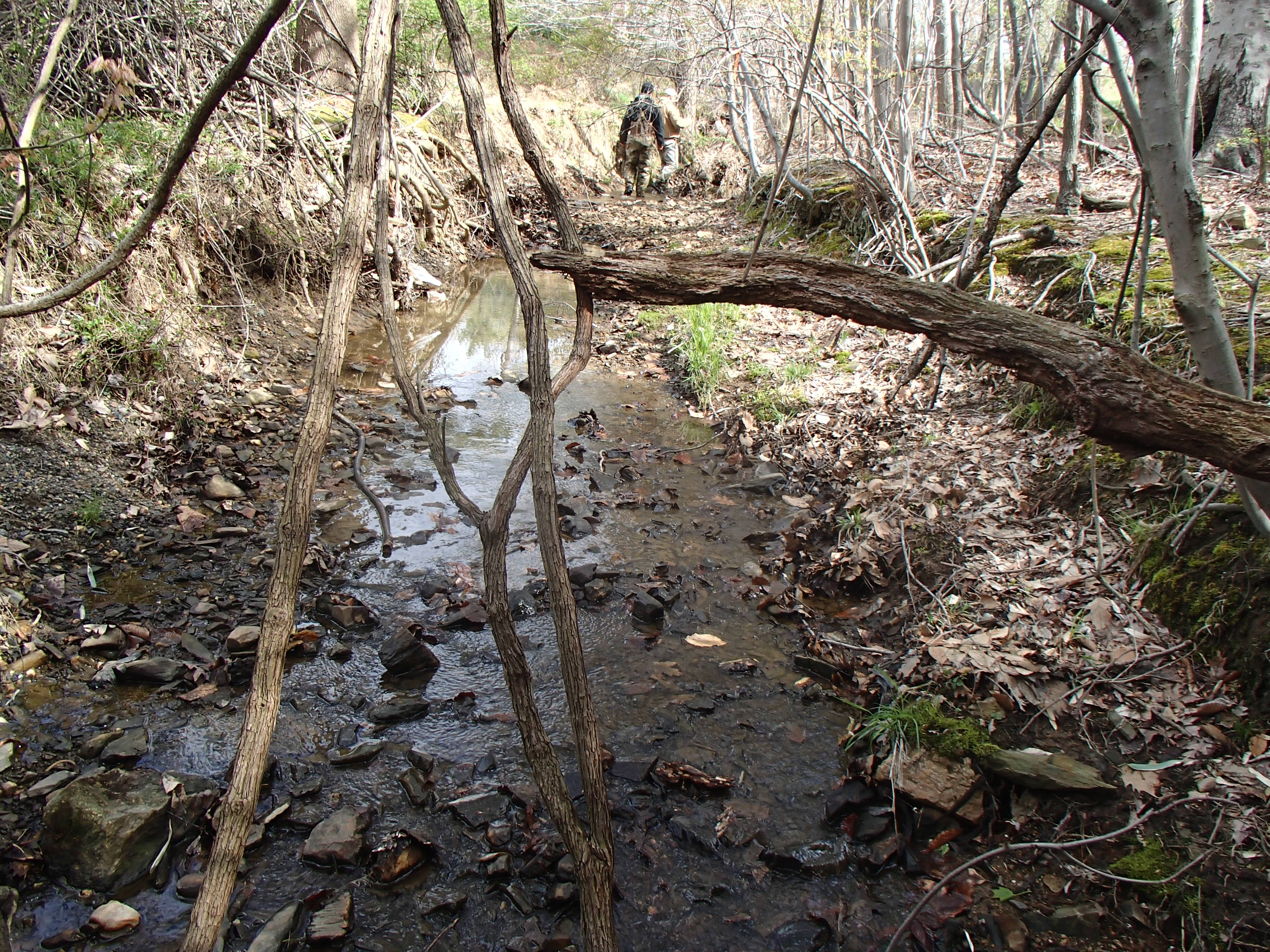 Field photo showing stream conditions at site ATKI-006-X-2015_Midpoint-upstream