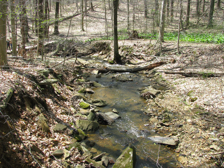 Field photo showing stream conditions at site ATKI-101-X-2009-1