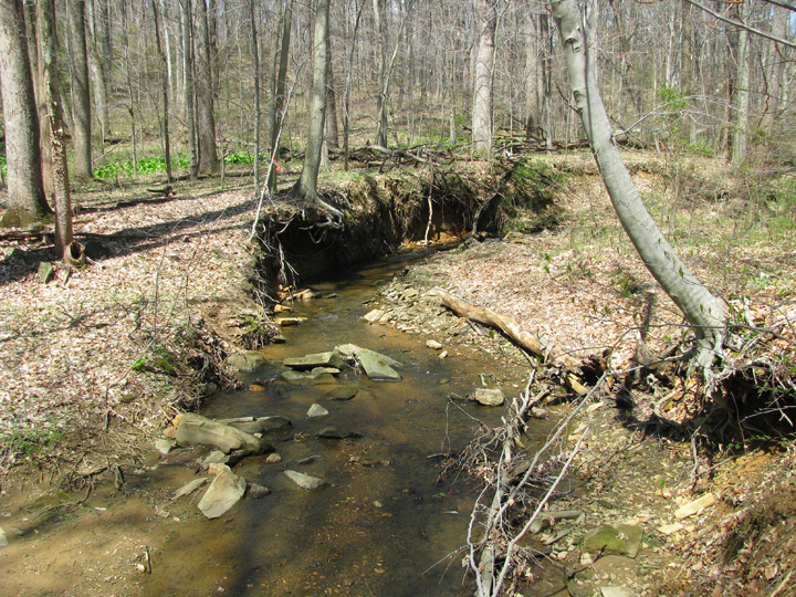 Field photo showing stream conditions at site ATKI-101-X-2009-2