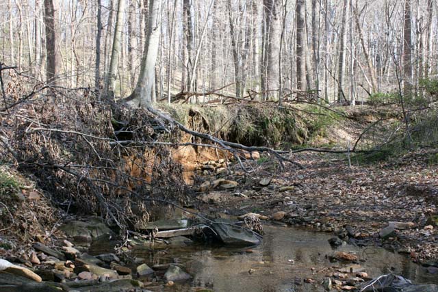 Field photo showing stream conditions at site ATKI-101-X-2012_UpstreamFromMid-point