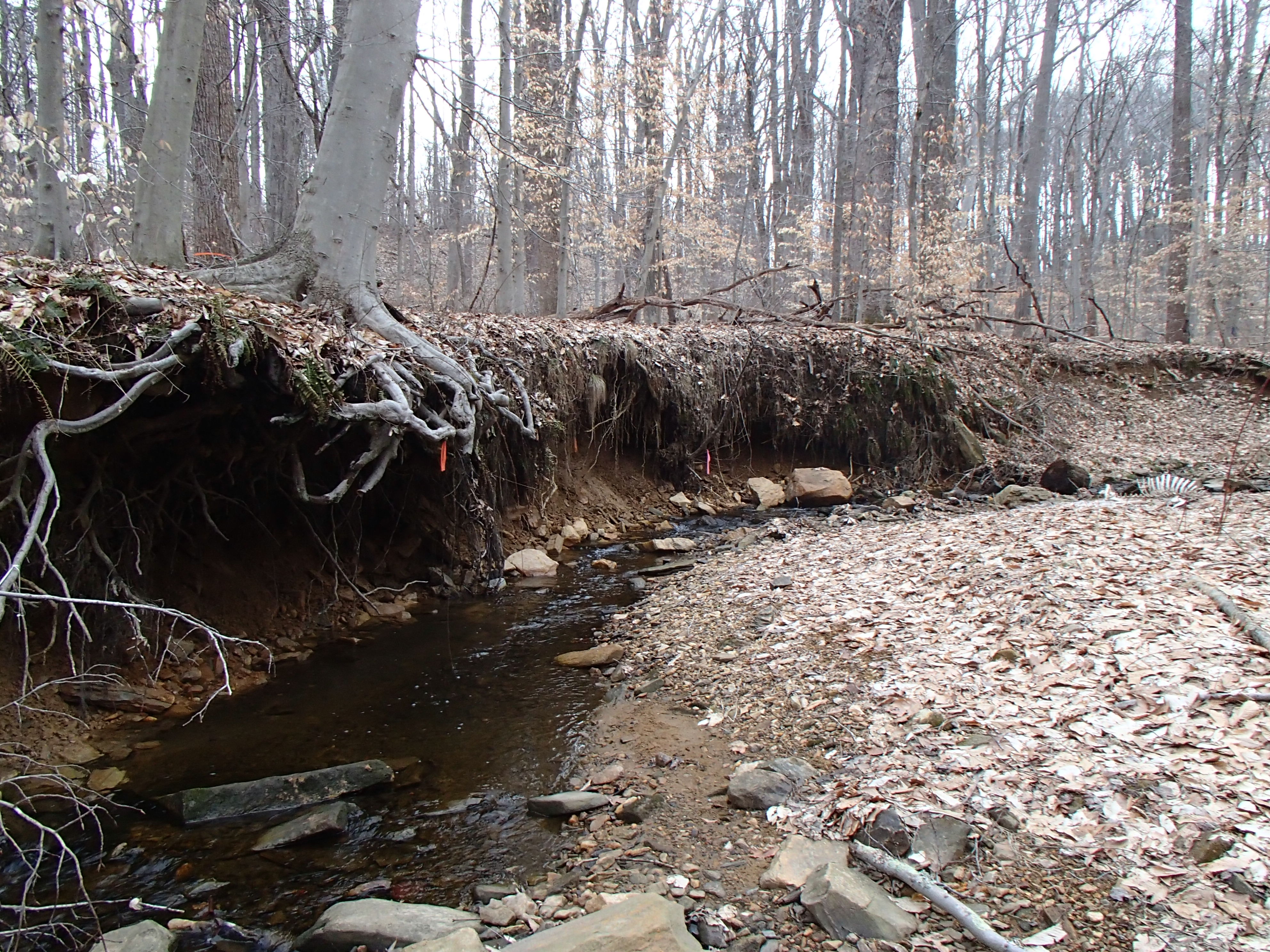 Field photo showing stream conditions at site ATKI-101-X-2014-1