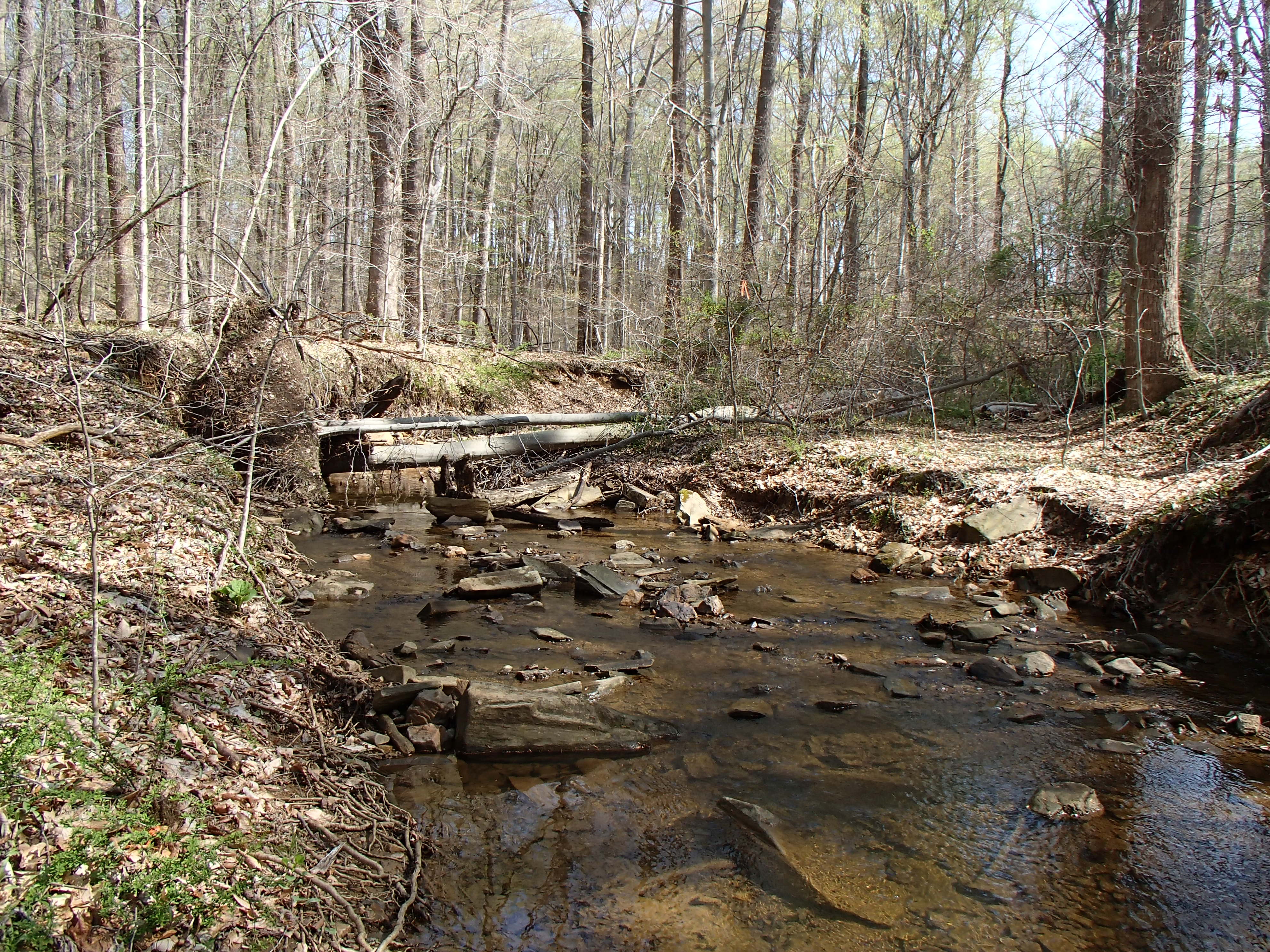 Field photo showing stream conditions at site ATKI-101-X-2015_Midpoint-looking-upstream