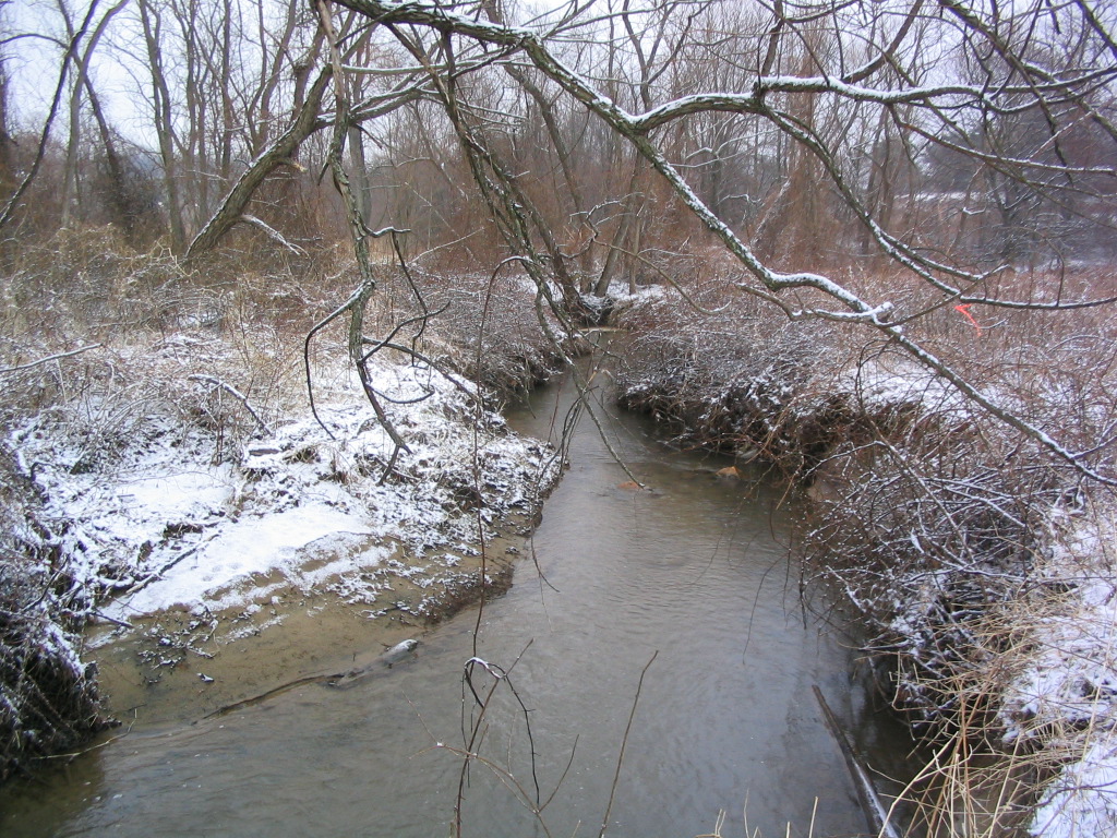Field photo showing stream conditions at site ATKI-102-R-2004-1