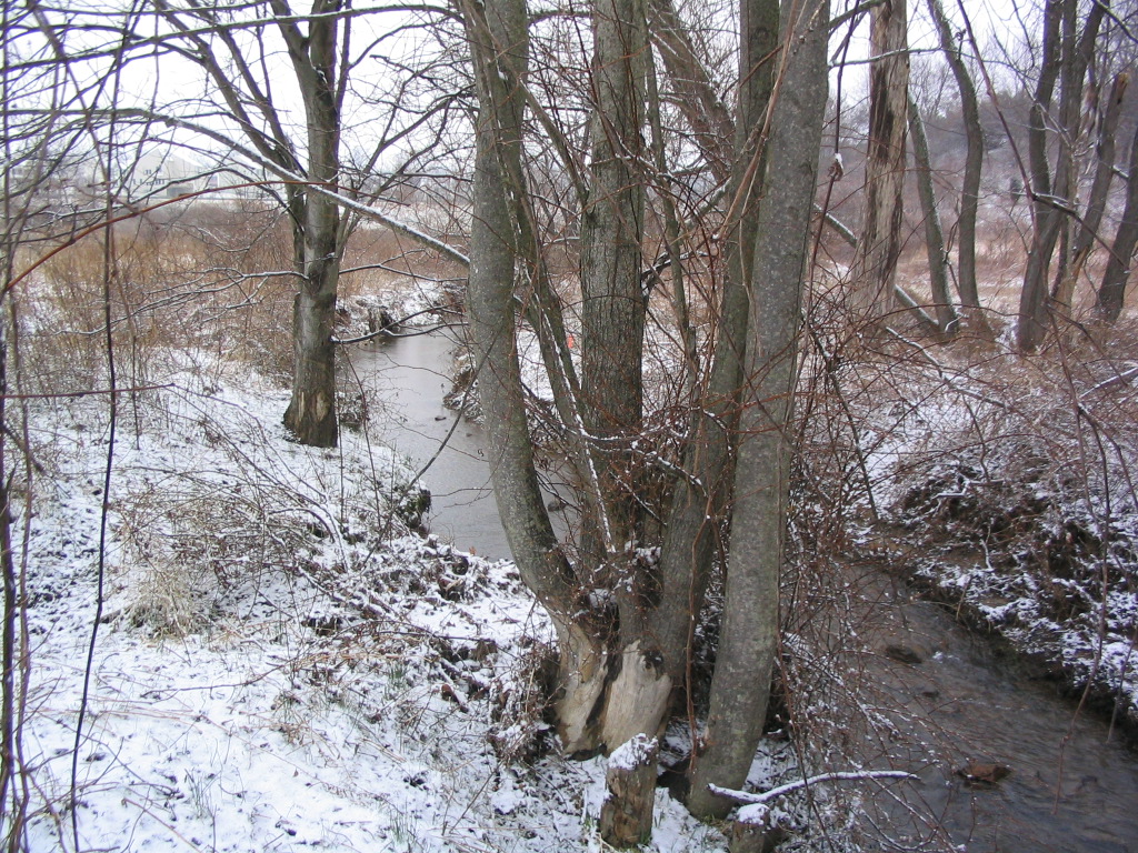 Field photo showing stream conditions at site ATKI-102-R-2004-2