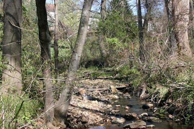 Field photo showing stream conditions at site ATKI-102-X-2012_Mid-pointUpstream