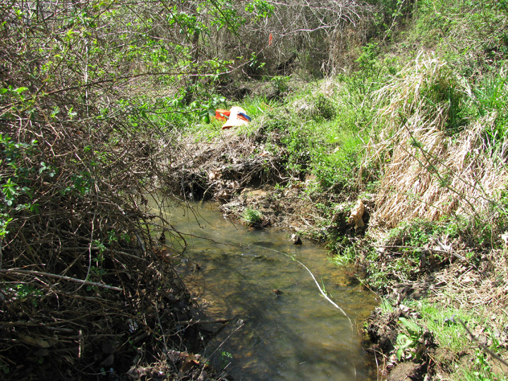 Field photo showing stream conditions at site ATKI-105-X-2009-1