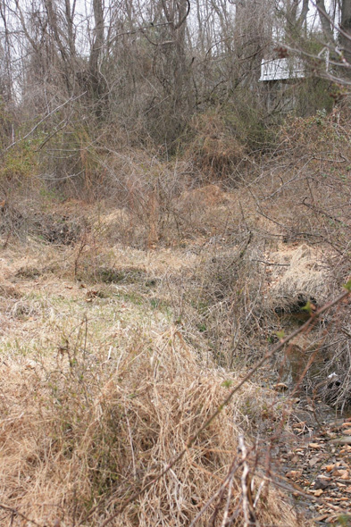 Field photo showing stream conditions at site ATKI-105-X-2011-1