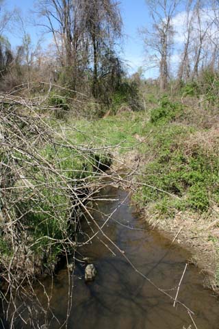 Field photo showing stream conditions at site ATKI-105-X-2012_Mid-point_Upstream