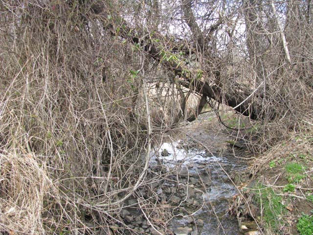 Field photo showing stream conditions at site ATKI-105-X-2013-1