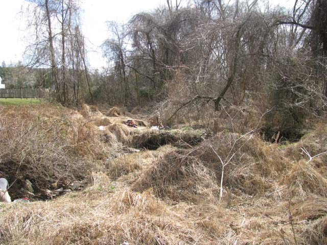 Field photo showing stream conditions at site ATKI-105-X-2013-2