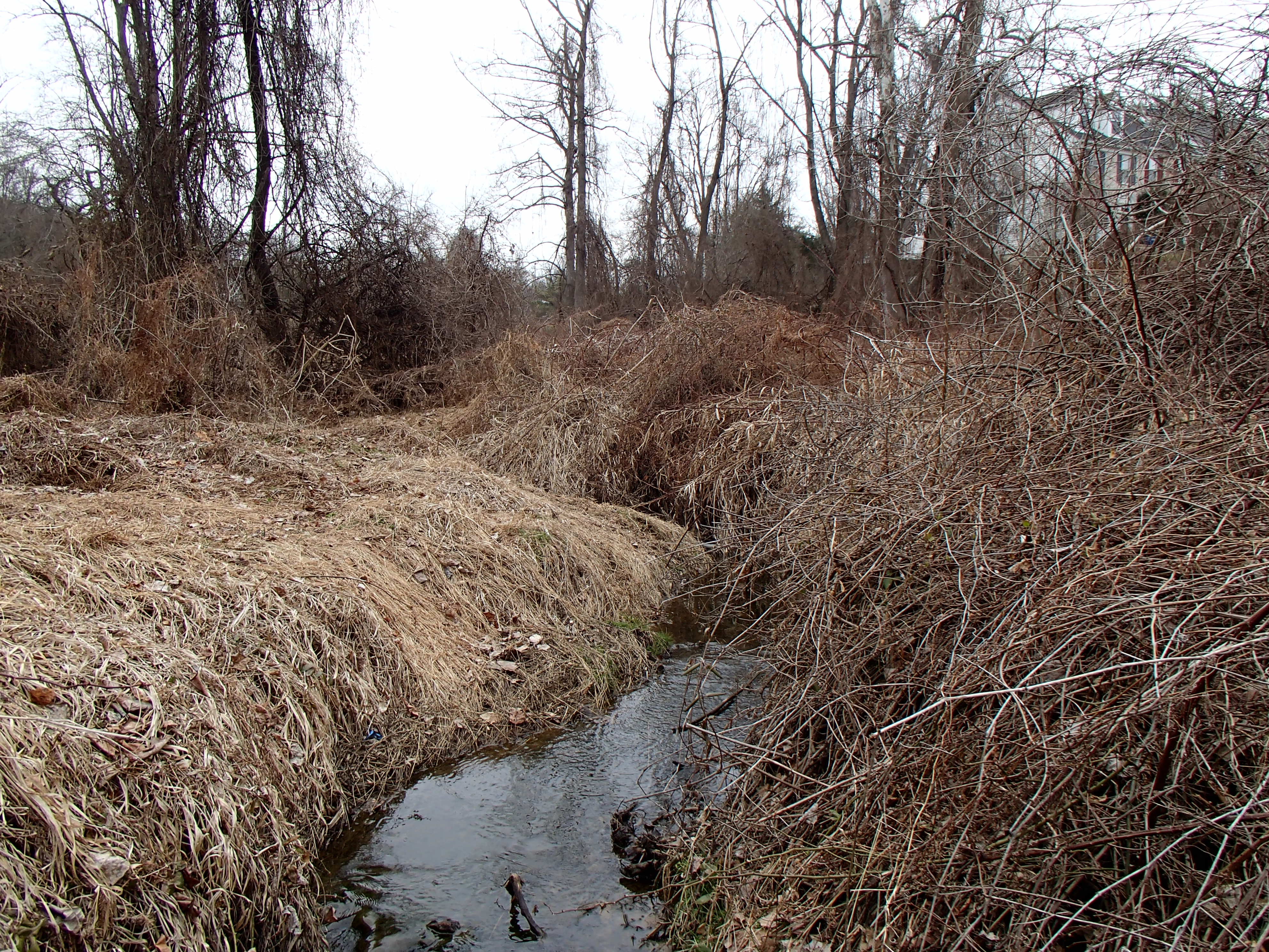 Field photo showing stream conditions at site ATKI-105-X-2014-1