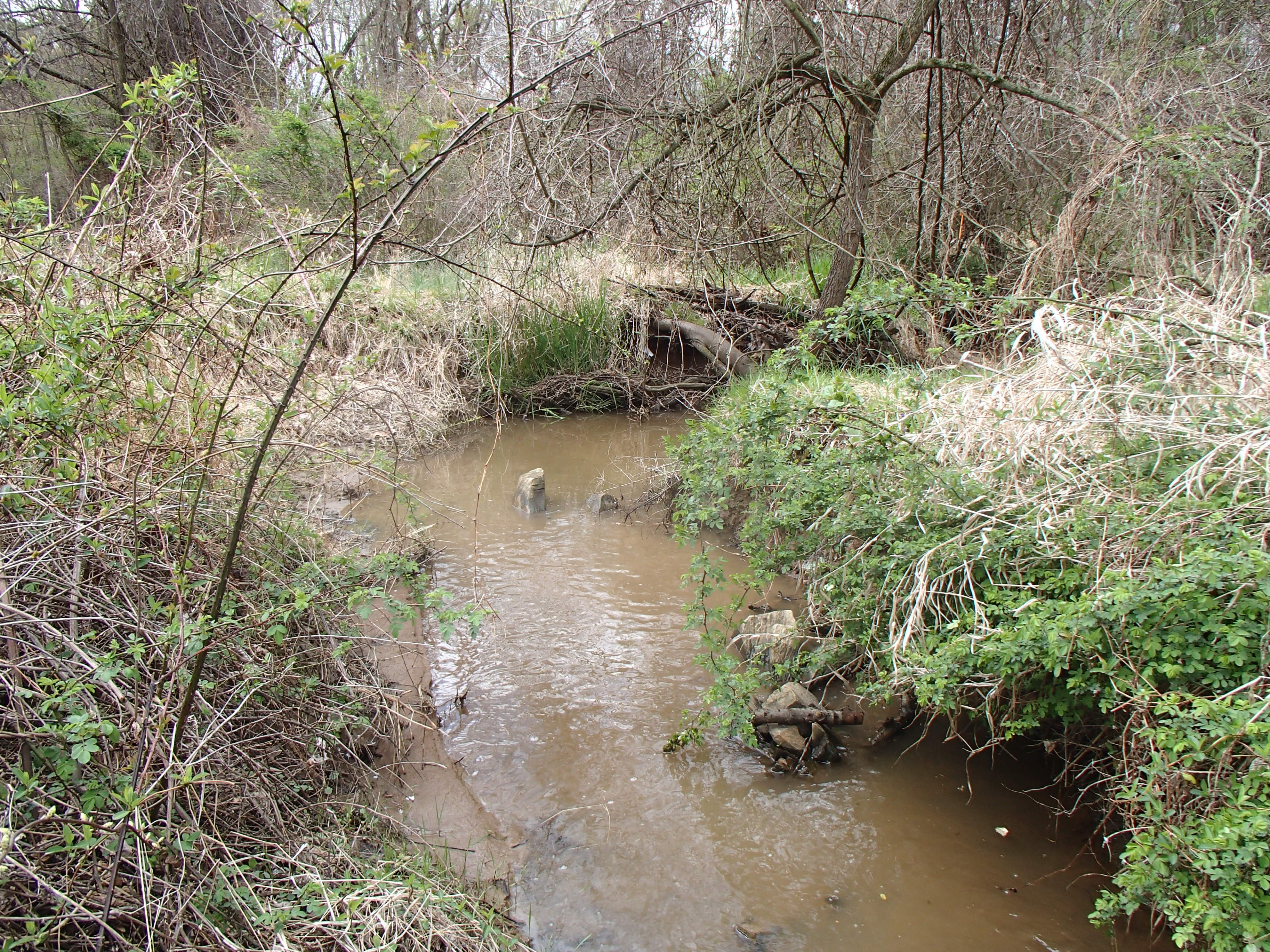 Field photo showing stream conditions at site ATKI-105-X-2015_Midpoint-downstream