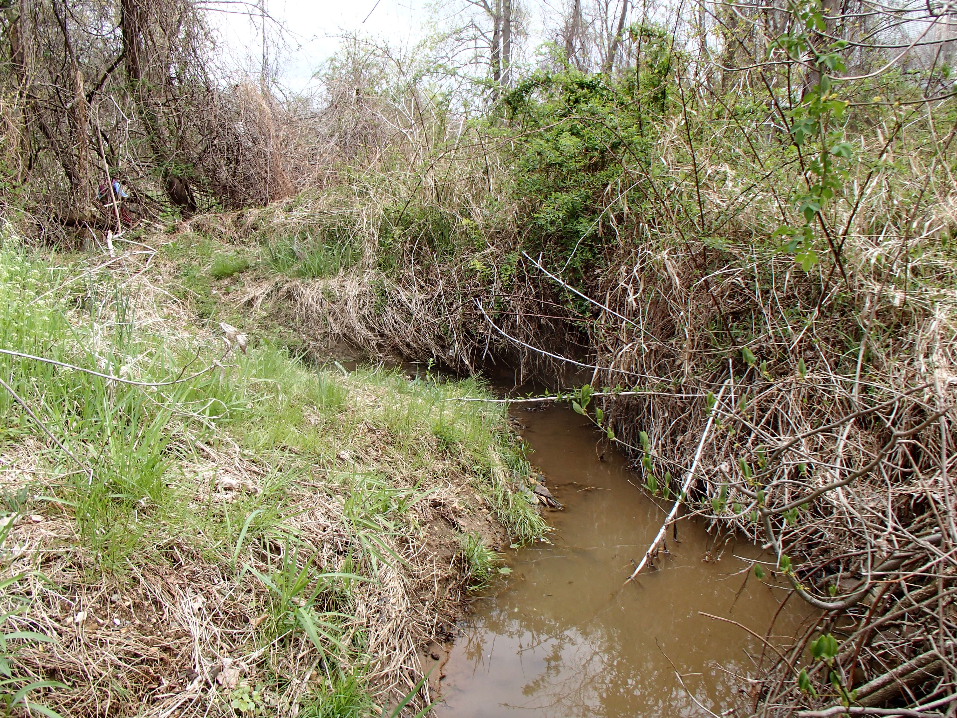 Field photo showing stream conditions at site ATKI-105-X-2015_Midpoint-upstream