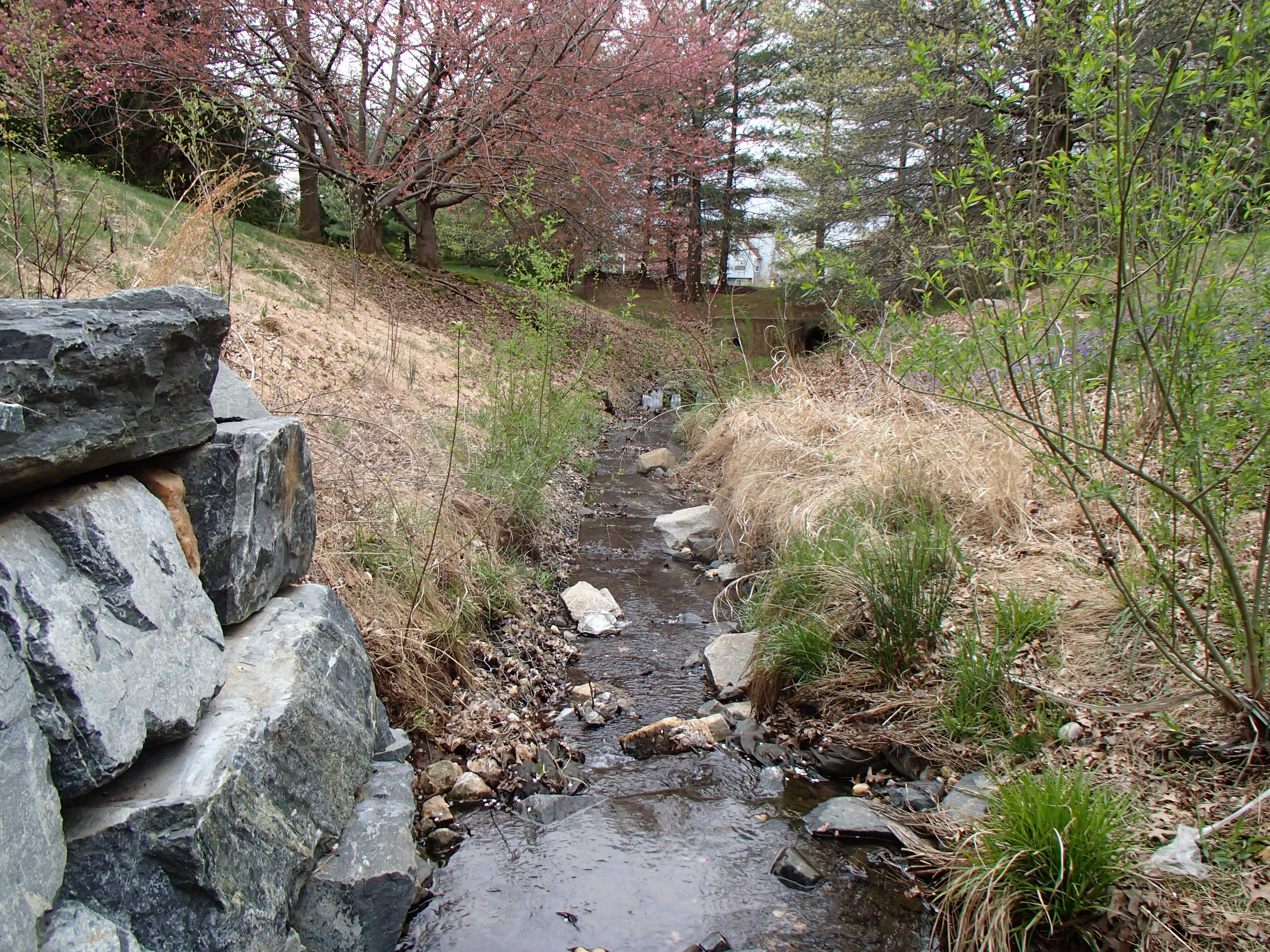 Field photo showing stream conditions at site ATKI-107-X-2015_Midpoint-looking-downstream